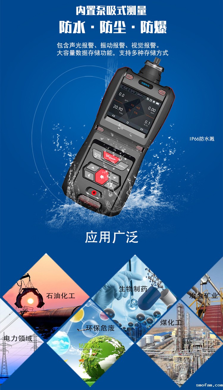 便携泵吸式乙基环己烷气体检测报警仪