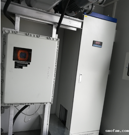 低温甲醇洗入口低甲尾气在线检测仪